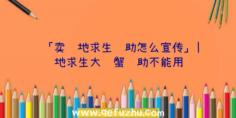 「卖绝地求生辅助怎么宣传」|绝地求生大闸蟹辅助不能用